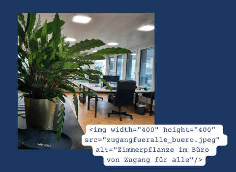 Foto von Zimmerpflanze im Büro von Zugang für alle mit angezeigtem Alternativtext