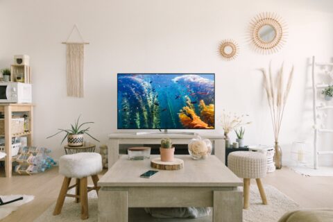 Ein Wohnzimmer mit einem Fernseher an der Wand. Der Bildschirm zeigt Unterwasseraufnahmen. Im Wohnzimmer stehen ein Tisch, Stühle und einige weitere Möbel.