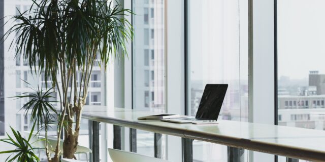 Büro mit grossen Fensterwänden und Pflanzen