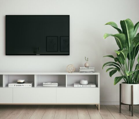 Wohnzimmer mit Fernseher an der Wand, einem Regal und einer Zimmerpflanze.