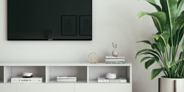 Wohnzimmer mit Fernseher an der Wand, einem Regal und einer Zimmerpflanze.