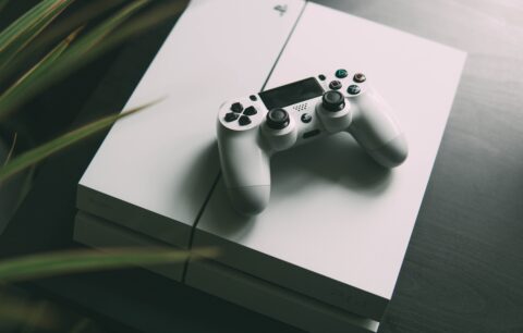 PS4 auf einer Box am Boden. Eine dekorative Pflanze steht daneben.